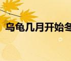 烏龜幾月開始冬眠?（烏龜幾月份開始冬眠）