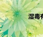 濕毒有哪些癥狀（濕毒）