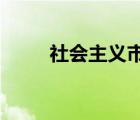 社會主義市場經(jīng)濟(jì)的重要組成部分