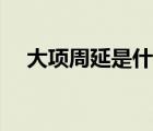 大項(xiàng)周延是什么意思（周延是什么意思）