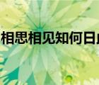 相思相見知何日此時此夜難為情表達什么心情