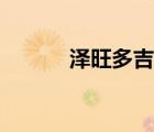 澤旺多吉吧下載（澤旺多吉吧）