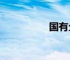 國有企業(yè)改革的方向是