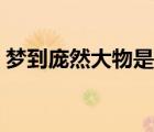 夢到龐然大物是什么意思（大物是什么意思）