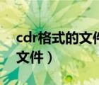cdr格式的文件怎么打開（如何打開cdr格式文件）