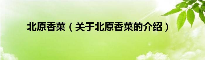北原香菜（關(guān)于北原香菜的介紹）