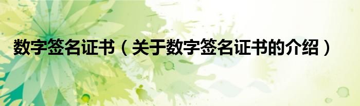 數(shù)字簽名證書(shū)（關(guān)于數(shù)字簽名證書(shū)的介紹）