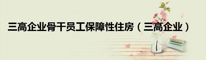 三高企業(yè)骨干員工保障性住房（三高企業(yè)）