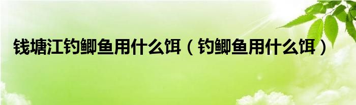 錢(qián)塘江釣鯽魚(yú)用什么餌（釣鯽魚(yú)用什么餌）