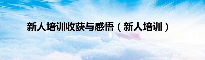 新人培訓(xùn)收獲與感悟（新人培訓(xùn)）