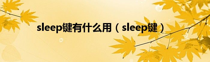 sleep鍵有什么用（sleep鍵）