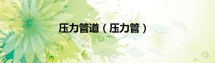 壓力管道（壓力管）