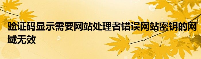 驗(yàn)證碼顯示需要網(wǎng)站處理者錯(cuò)誤網(wǎng)站密鑰的網(wǎng)域無效