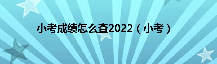 小考成績怎么查2022（小考）