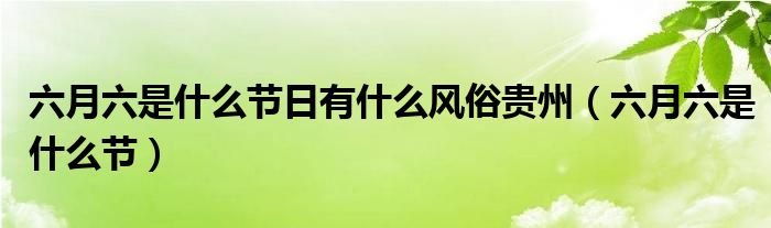六月六是什么節(jié)日有什么風(fēng)俗貴州（六月六是什么節(jié)）
