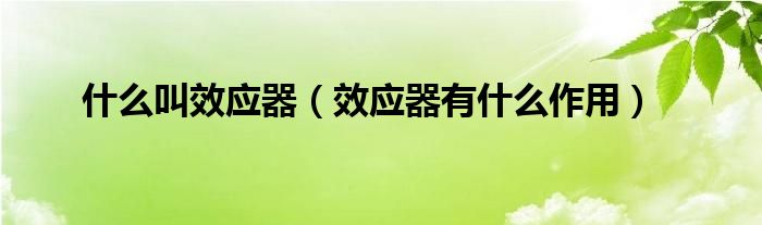 什么叫效應(yīng)器（效應(yīng)器有什么作用）