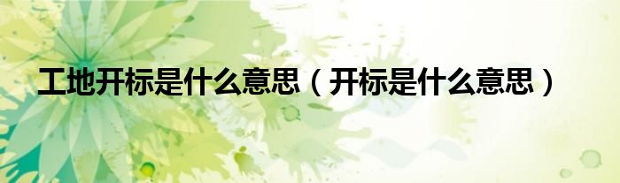 工地開標(biāo)是什么意思（開標(biāo)是什么意思）
