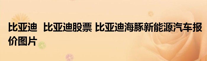比亞迪 比亞迪股票 比亞迪海豚新能源汽車報價圖片