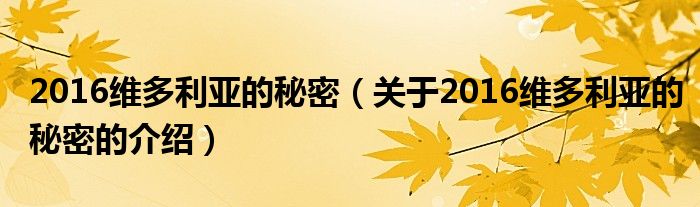 2016維多利亞的秘密（關(guān)于2016維多利亞的秘密的介紹）