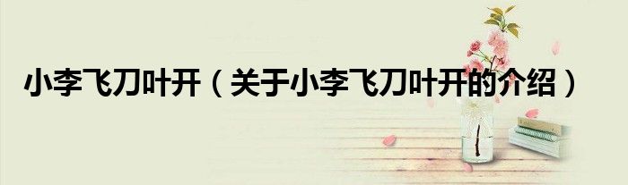 小李飛刀葉開（關(guān)于小李飛刀葉開的介紹）