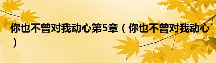 你也不曾對我動心第5章（你也不曾對我動心）
