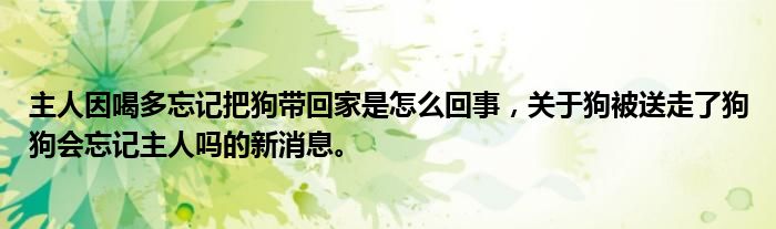 主人因喝多忘記把狗帶回家是怎么回事，關(guān)于狗被送走了狗狗會忘記主人嗎的新消息。