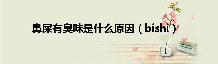 鼻屎有臭味是什么原因（bishi）