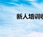 新人培訓(xùn)收獲與感悟（新人培訓(xùn)）