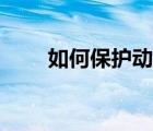 如何保護(hù)動(dòng)物英語（如何保護(hù)動(dòng)物）