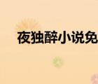 夜獨(dú)醉小說免費(fèi)下載（夜獨(dú)醉全部小說）