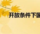 開放條件下國民收入均衡的條件是哪些