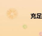 充足的近義詞（充足）