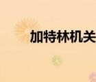 加特林機(jī)關(guān)槍視頻（加特林機(jī)關(guān)槍）