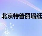 北京特普麗墻紙有限公司（特普麗墻紙官網(wǎng)）