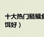 十大熱門(mén)鰱鳙魚(yú)餌料排行榜（釣鰱魚(yú)用什么魚(yú)餌好）
