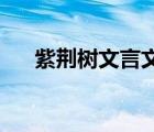 紫荊樹文言文翻譯 生（紫荊樹文言文）