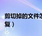 剪切掉的文件怎么恢復(fù)（剪切走的文件怎么恢復(fù)）