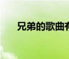 兄弟的歌曲有哪些好聽的（兄弟的歌）