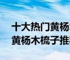 十大熱門黃楊木梳排行榜（精選10款天然水黃楊木梳子推薦）
