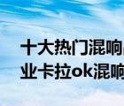 十大熱門混響品牌產(chǎn)品排行榜（精選10款專業(yè)卡拉ok混響器）