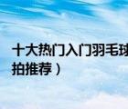 十大熱門入門羽毛球拍排行榜（精選10款初學(xué)入門級(jí)羽毛球拍推薦）