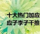 十大熱門加應子排行榜（精選10款好吃的加應子李子干推薦）
