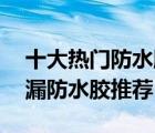 十大熱門防水膠水排行榜（精選10款屋頂補漏防水膠推薦）
