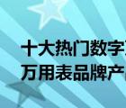 十大熱門數(shù)字萬用表排行榜（精選10款數(shù)顯萬用表品牌產(chǎn)品）