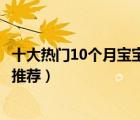 十大熱門10個月寶寶輔食排行榜（適合10個月寶寶吃的輔食推薦）