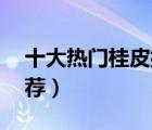 十大熱門桂皮排行榜（精選10款桂皮香料推薦）