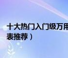 十大熱門入門級萬用表排行榜（精選10款好用的入門級萬用表推薦）