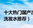 十大熱門國產(chǎn)洗發(fā)水排行榜（平價好用的國產(chǎn)洗發(fā)水推薦）