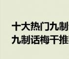 十大熱門九制話梅排行榜（精選10款好吃的九制話梅干推薦）