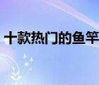 十款熱門(mén)的魚(yú)竿排行榜（釣魚(yú)必備魚(yú)竿推薦）